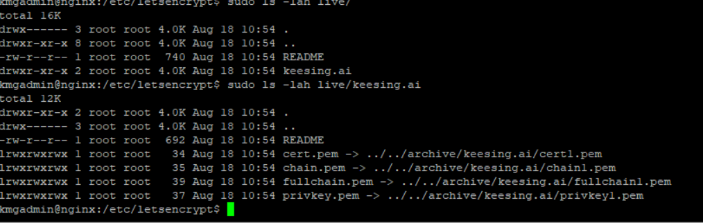 /etc/letsencrypt/live/keesing.ai/